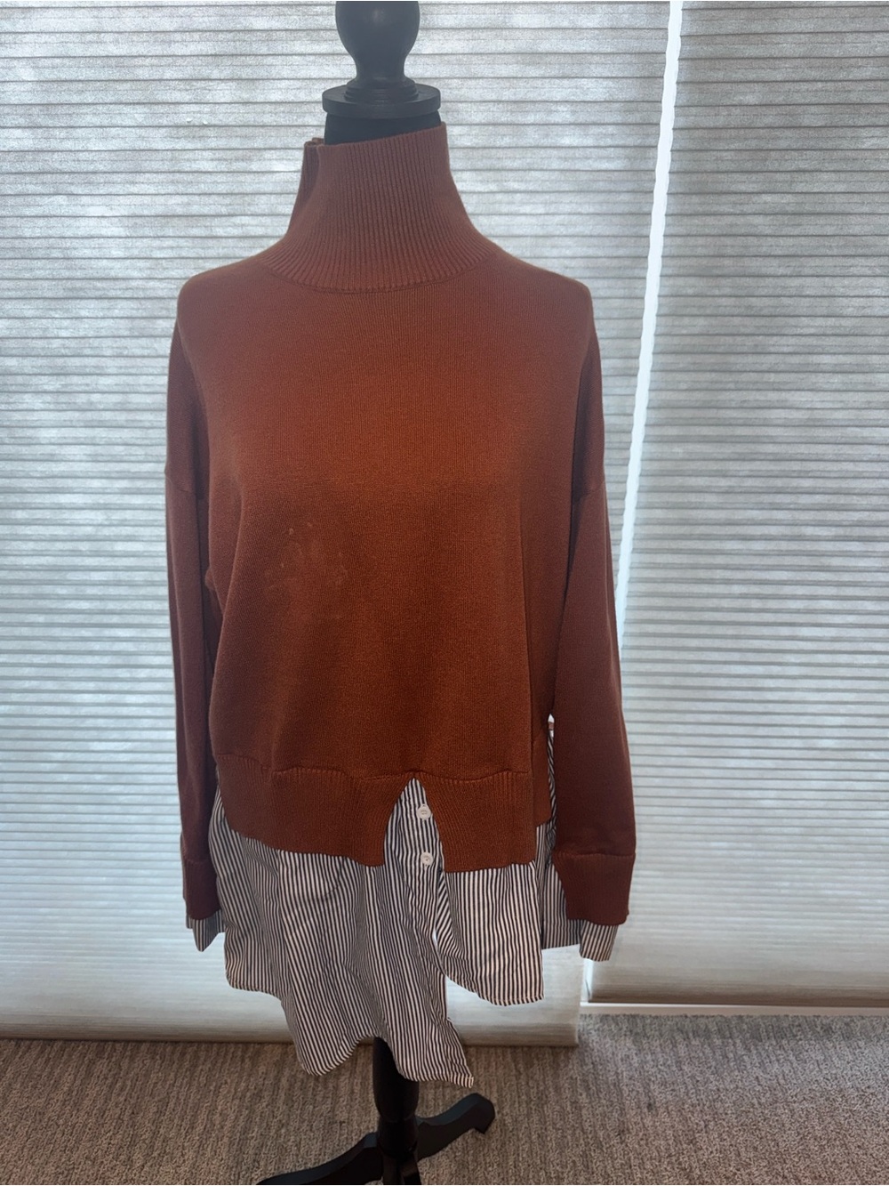 Women's Turtle Neck Sweater in Rust